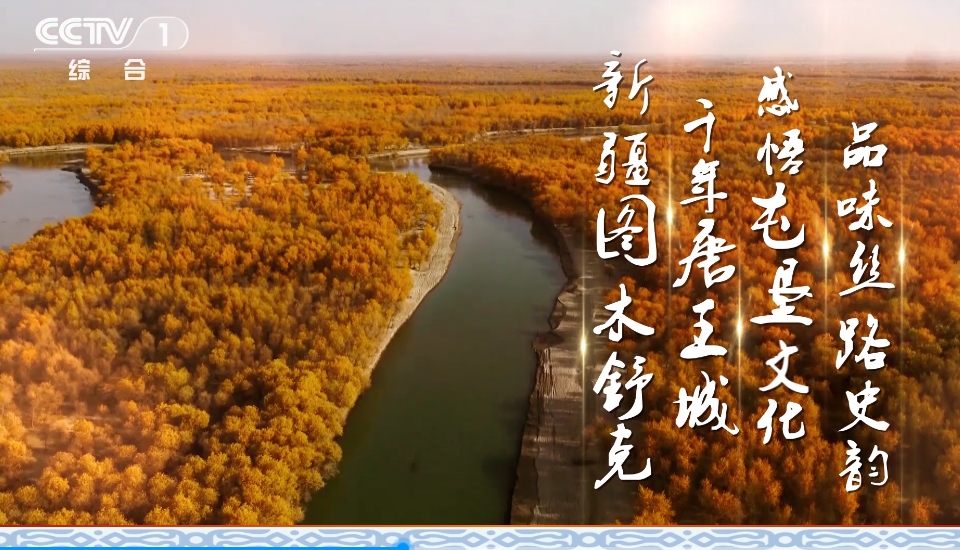 图木舒克市，央视广告打出城市品牌影响力