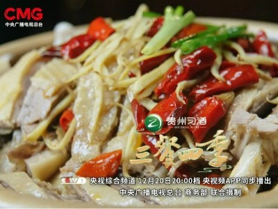 总台精品节目赋能区域发展，《三餐四季》带动河南特产销量增长超50%