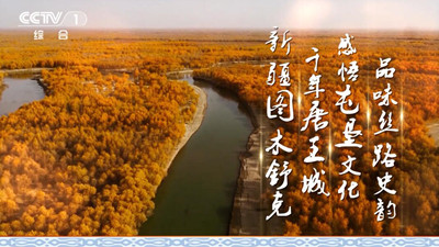 中视海澜央视1套5秒广告-图木舒克