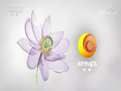 CCTV十套《中国影像方志》广告收费标准