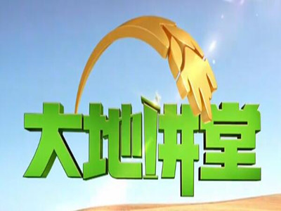 大地讲堂-中视海澜