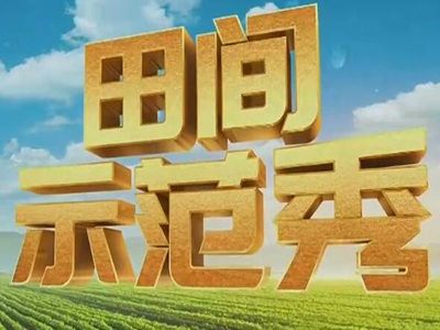 田间示范秀-中视海澜
