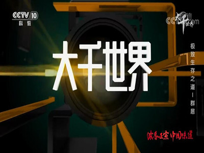 投放CCTV10科教频道广告联系中视海澜-央视十套广告价格表